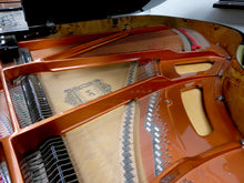 Load image into Gallery viewer, Feurich 178 Professional II Grand Piano in Black High Gloss Finish
